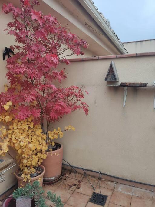 Apartamento Luminoso Con Jardin La Zubia  Eksteriør billede